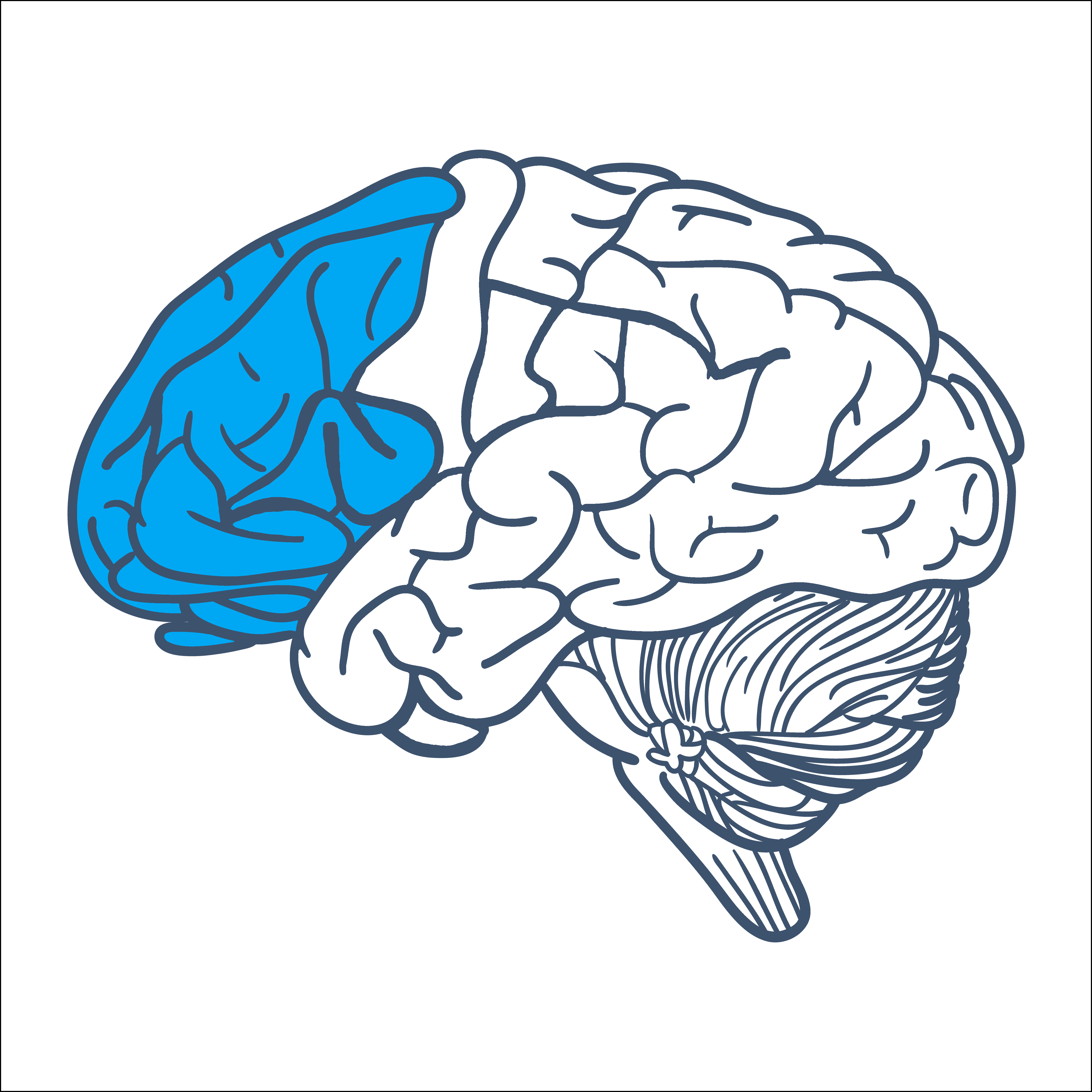 part of brain shaded blue that effects the strategic network of the brain